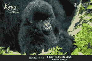 gorilla naming ceremony rwanda