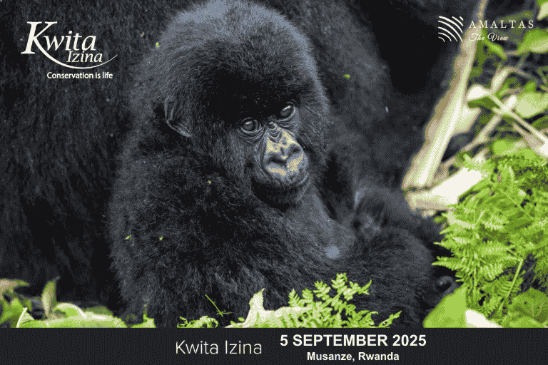 gorilla naming ceremony rwanda